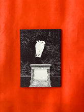 Load image into Gallery viewer, Pictorial Turn (Hahaha) - Daniela Bojórquez Vértiz