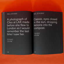 Load image into Gallery viewer, Nostalgia III - David Horvitz