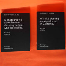 Load image into Gallery viewer, Nostalgia III - David Horvitz