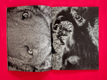 Load image into Gallery viewer, Jóvenes Wixaritari imaginando el Futuro
