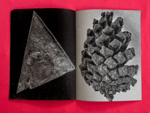 Load image into Gallery viewer, Jóvenes Wixaritari imaginando el Futuro
