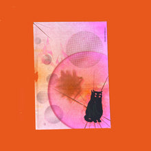 Load image into Gallery viewer, ManyFiestas
