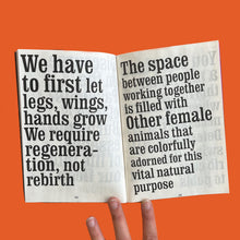 Load image into Gallery viewer, ManyFiestas
