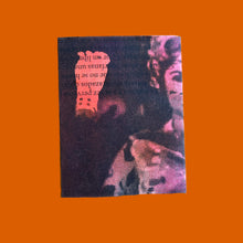 Load image into Gallery viewer, Kawabata, the Writer, the Travesti Philosopher, and the Fish
