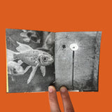 Kawabata, the Writer, the Travesti Philosopher, and the Fish