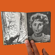 Load image into Gallery viewer, Kawabata, the Writer, the Travesti Philosopher, and the Fish
