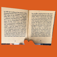 Load image into Gallery viewer, Kawabata, the Writer, the Travesti Philosopher, and the Fish
