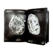 Load image into Gallery viewer, Him-Alice Zukofsky
