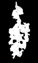 Load image into Gallery viewer, No hay nada que celebrar, mi casa está vacía-Julián Barón
