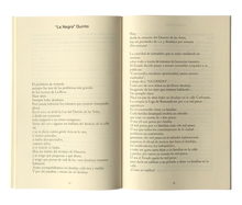 Load image into Gallery viewer, Juan Pablo por Ivonne-Dani Zelko
