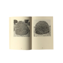 Load image into Gallery viewer, Los arbustos de la muerte-Mike Slack
