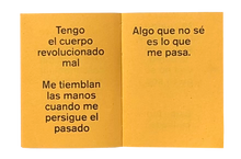 Load image into Gallery viewer, Que no vuelva nunca más-Fernanda Laguna
