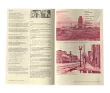 Load image into Gallery viewer, Volcanoes of the Capitalocene-Alan Smart
