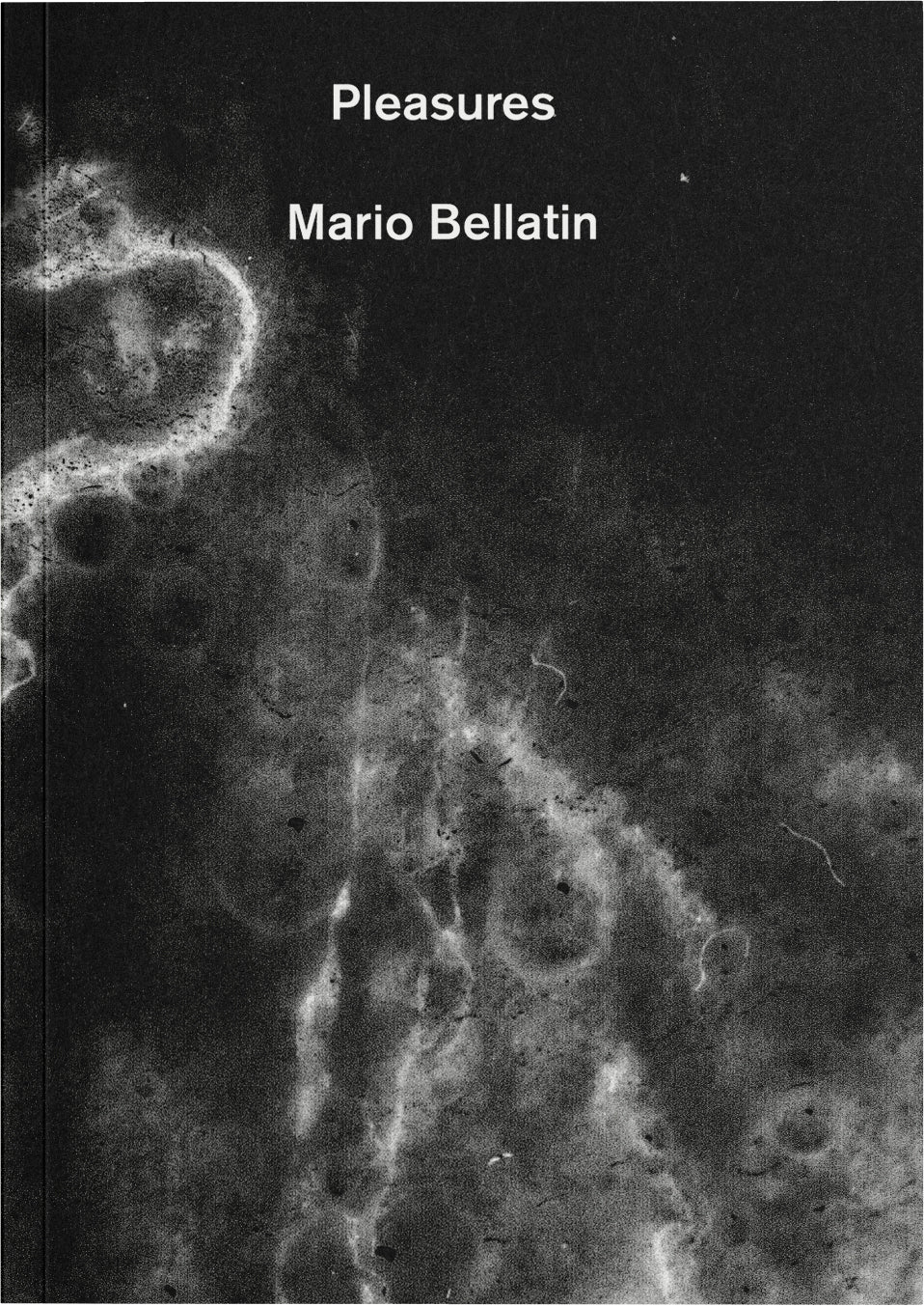 Pleasures-Mario Bellatin