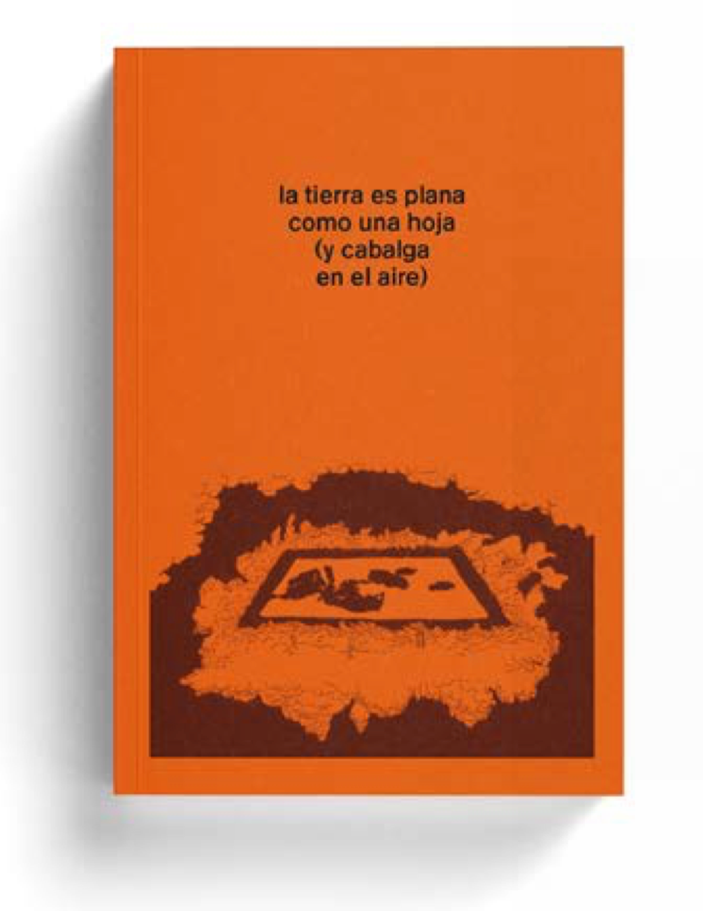 la tierra es plana como una hoja (y cabalga en el aire) - Verónica Gerber Bicecci